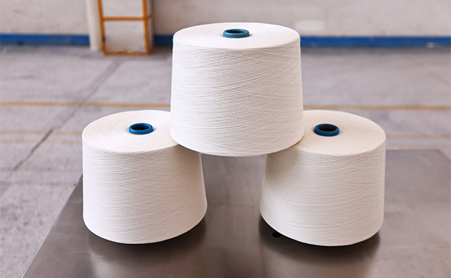 Phản ứng biến đổi khí hậu